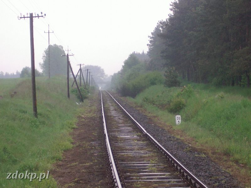 2005-05-23.137 stawiany-slawa widok w str. stawian.jpg - linia Gniezno Winiary -Sawa Wlkp.- widok w kierunku Stawian, 36.5 km